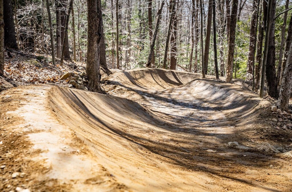 Park Report | April 2023